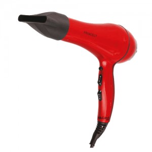 سشوار پرنسلی مدل PR228